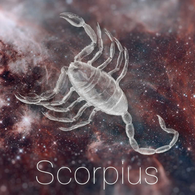 占星星座- Scorpius银河天空背景的古典占星画
