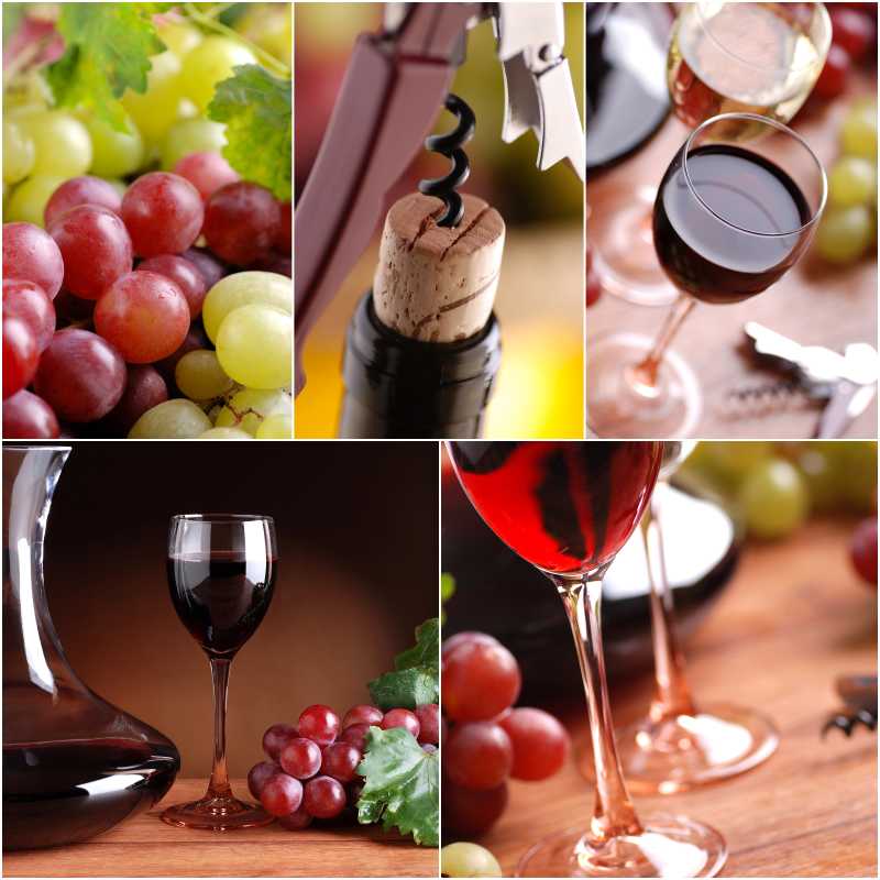 葡萄与葡萄酒组图