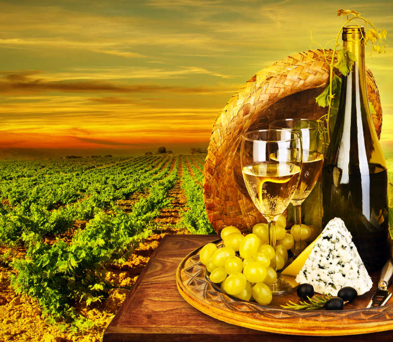 葡萄园葡萄酒和奶酪户外浪漫晚餐