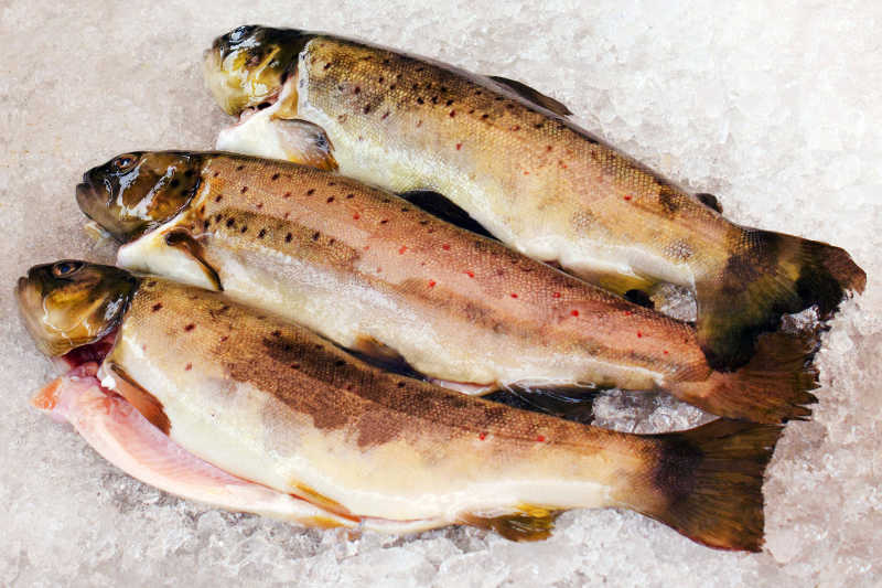 卑尔根挪威鱼市场上的鱼