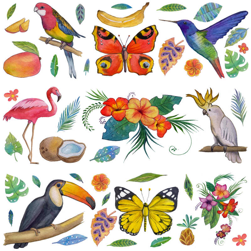热带花园各种动物和植物的插画