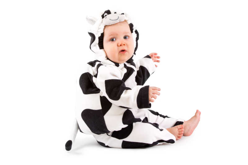 白色背景下穿着奶牛连帽衫衣服的婴儿
