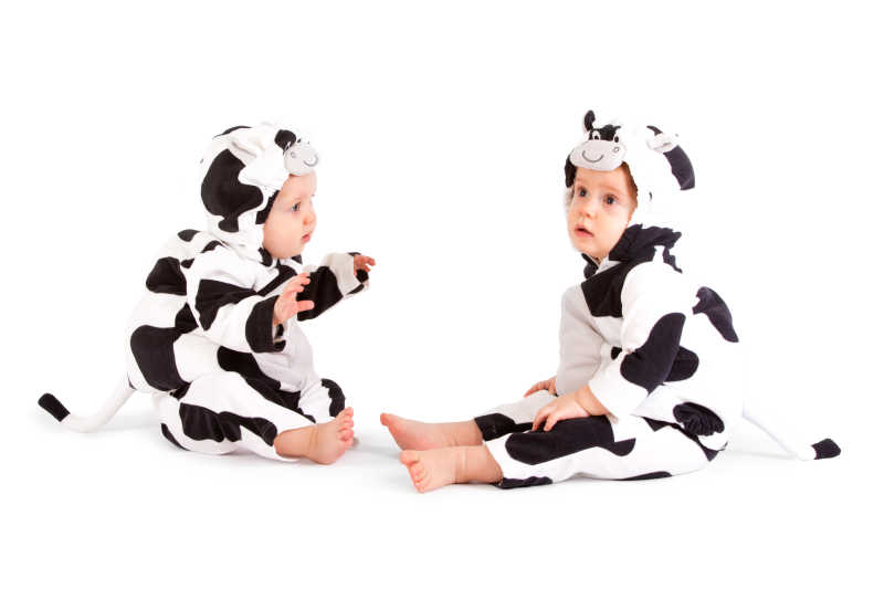 两个穿黑白奶牛连帽衫的可爱婴儿