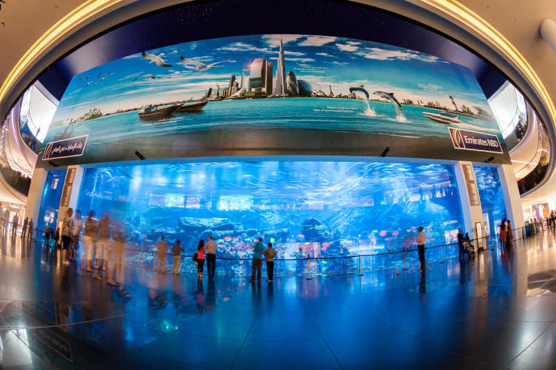 迪拜购物中心里的水族馆以及游客