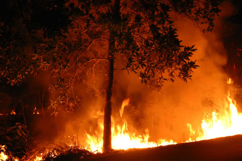 澳大利亚森林大火