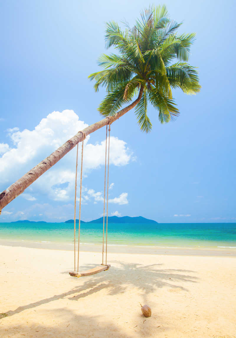 热带岛屿上的海滩椰子树和秋千