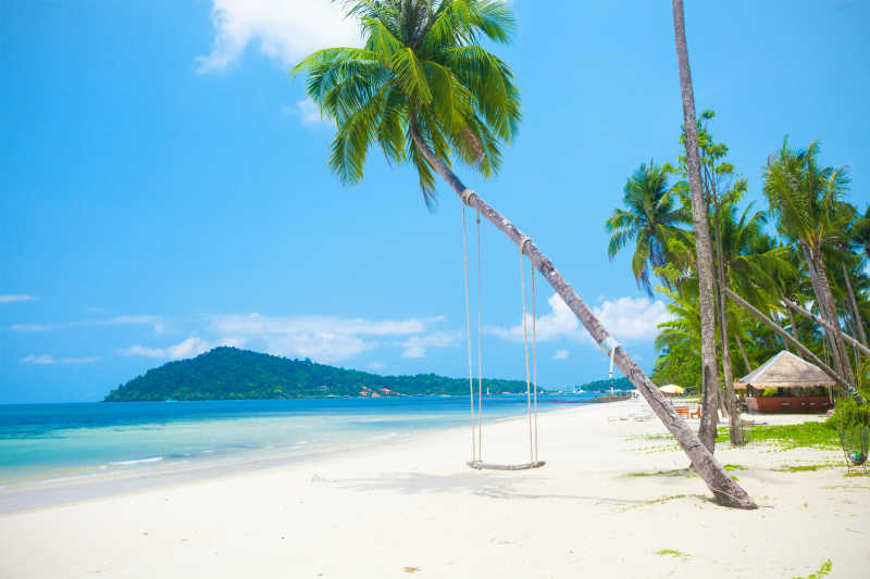 热带海边沙滩和椰子树以及秋千特写