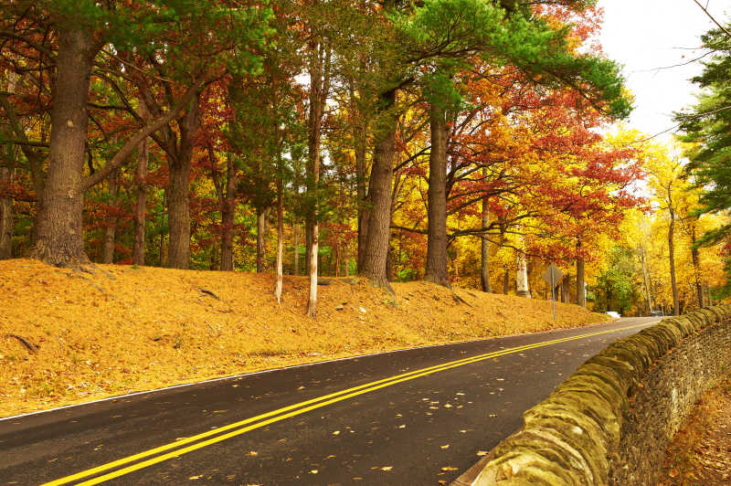 秋季道路风景