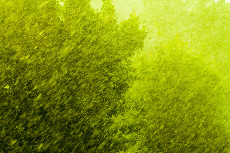 绿色背景上的滂沱大雨特写