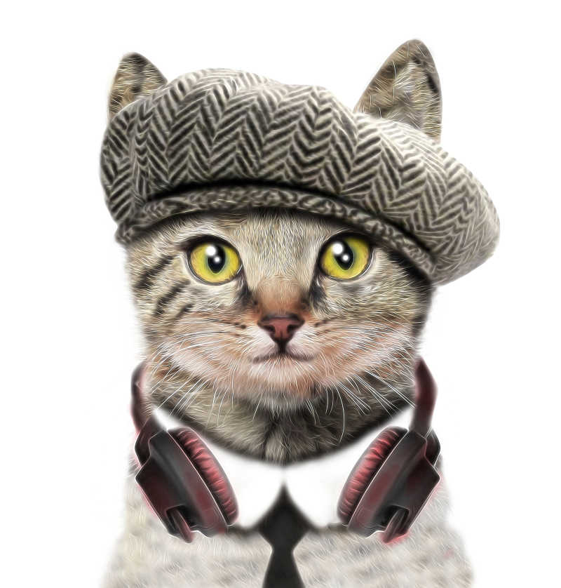 有趣的猫带着贝雷帽和耳机