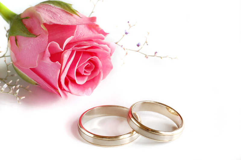 白色背景下的粉玫瑰和结婚对戒