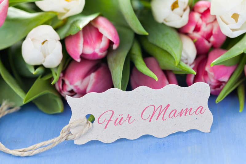 蓝色桌子上摆放的母亲节的郁金香鲜花和贺卡