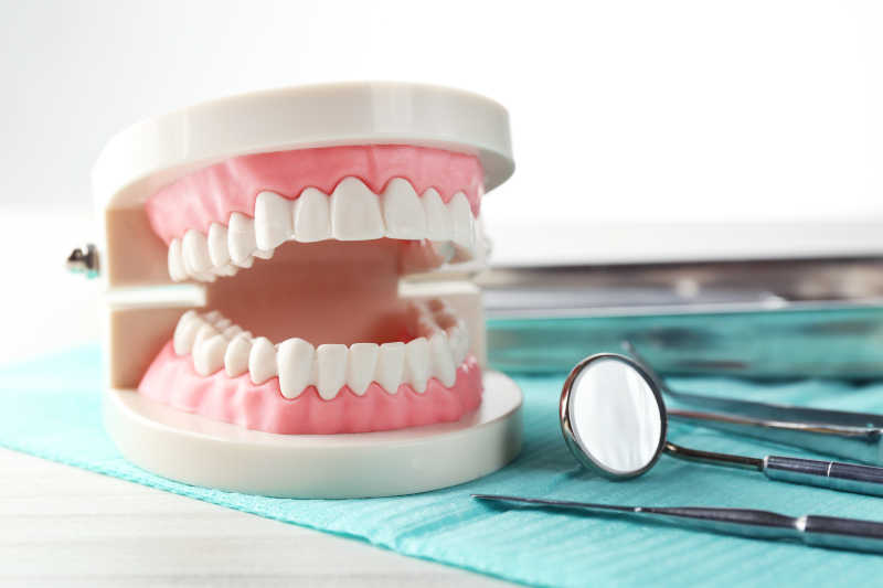 牙医桌上的牙齿模型和牙科检查器械