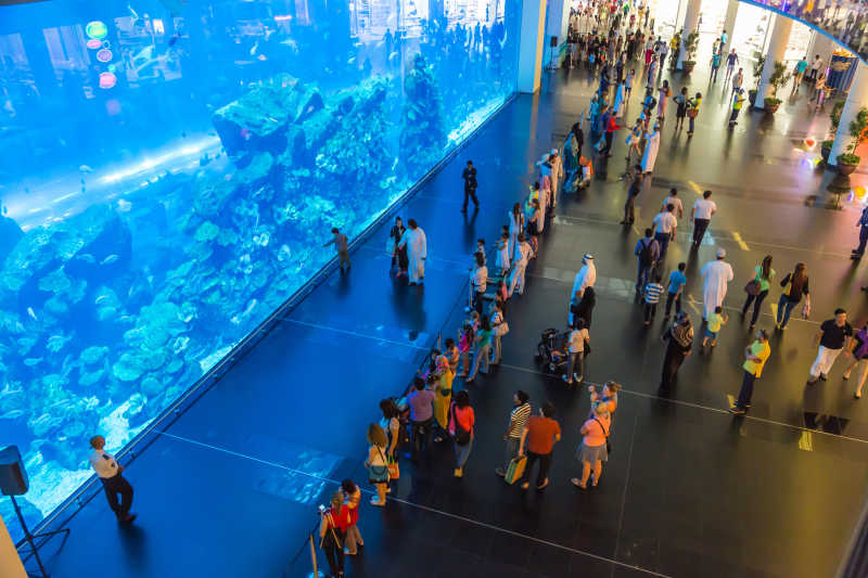 阿拉伯联合酋长国迪拜购物中心水族馆