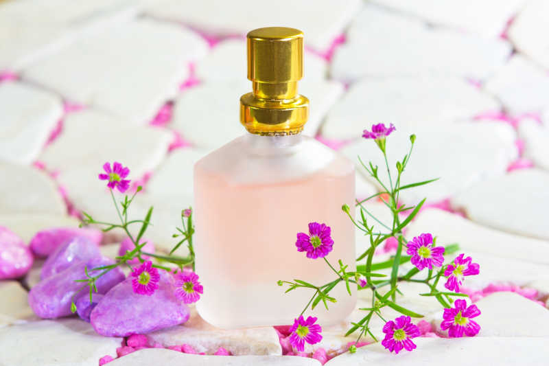 天然花香精华香水瓶和新鲜的紫色花朵