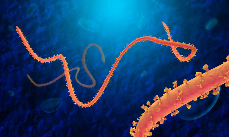 蓝色细胞背景下的埃博拉病毒