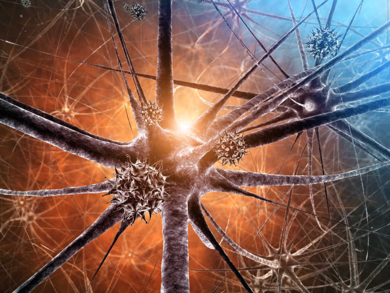 三维图解神经元与病毒