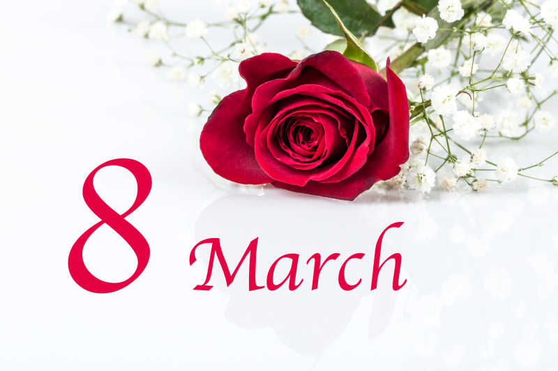 3月8日妇女节和玫瑰花