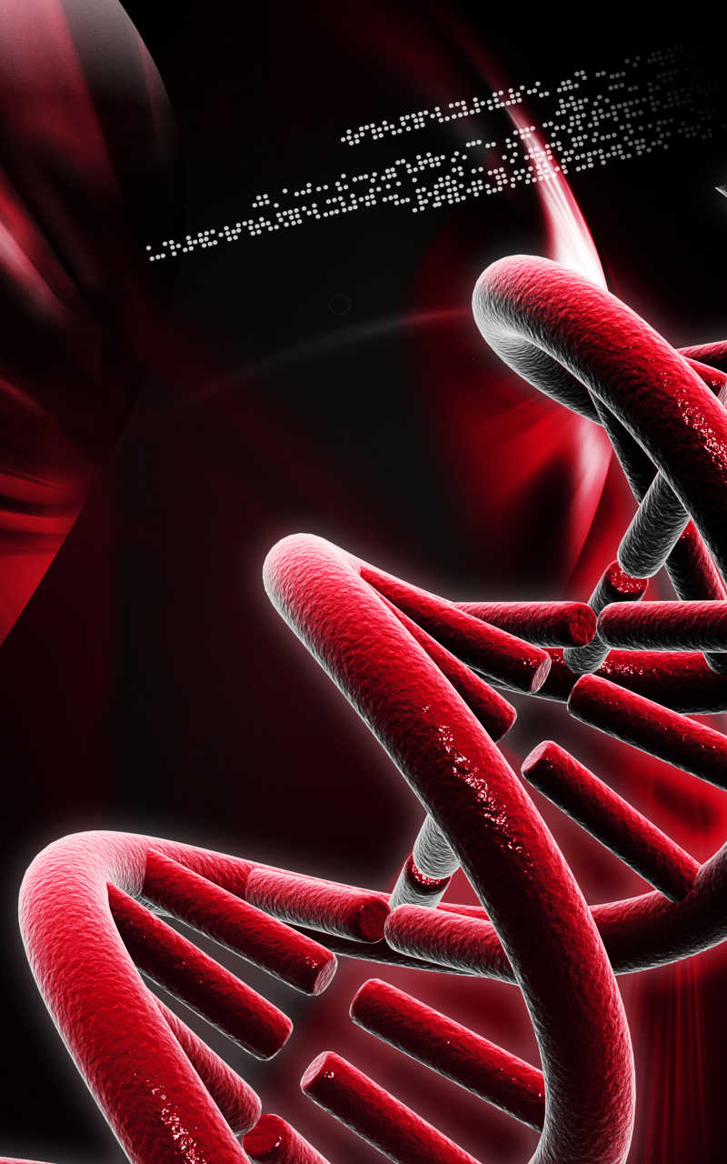 红色的DNA图谱