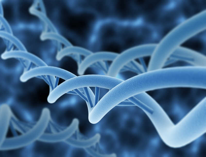 形象的DNA链