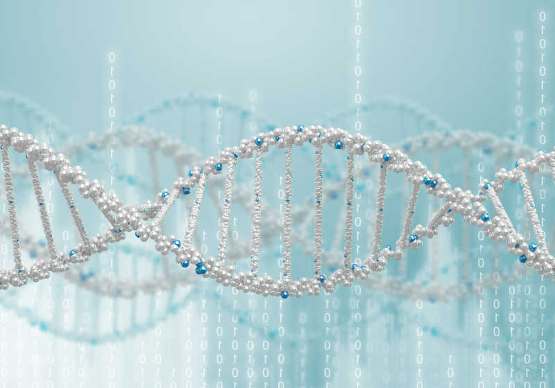 DNA抽象图谱