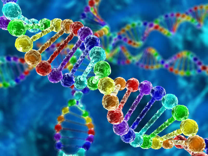 彩虹DNA