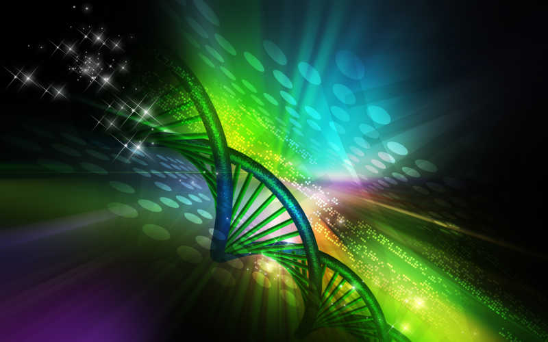 DNA彩色图谱