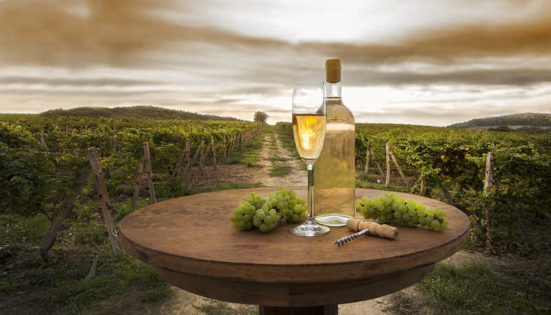 静物与白葡萄酒在葡萄园的背景