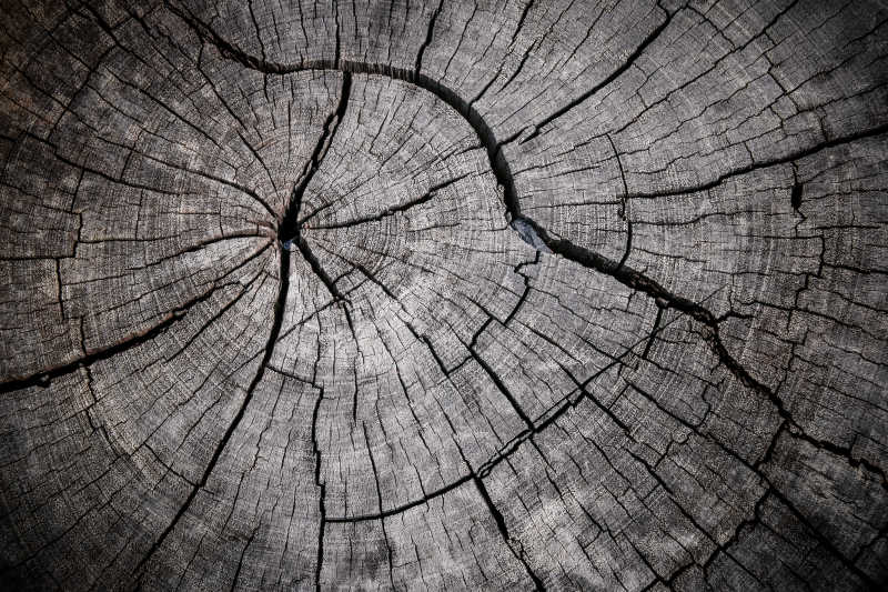 旧木头的裂纹