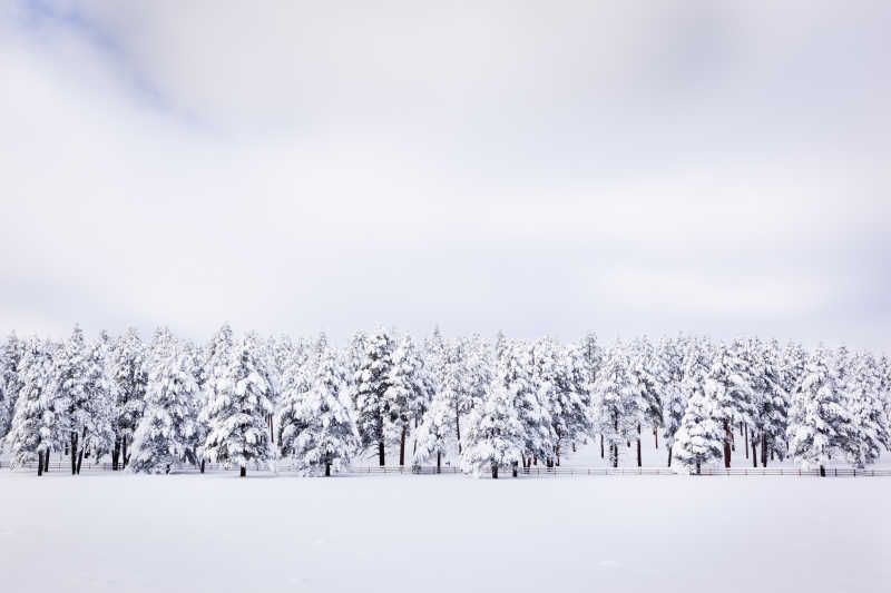 白雪皑皑的美景