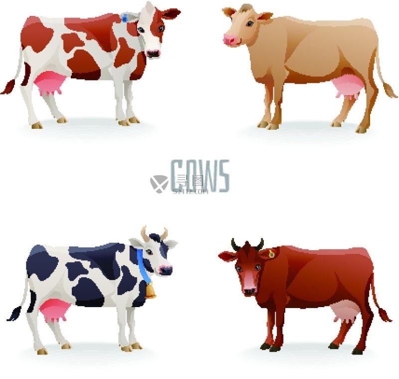 不同颜色的奶牛矢量插画图