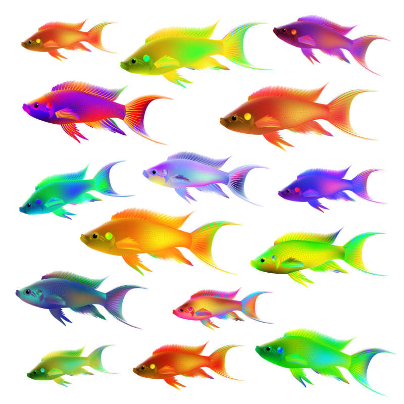 色彩鲜艳的热带鱼类矢量插画