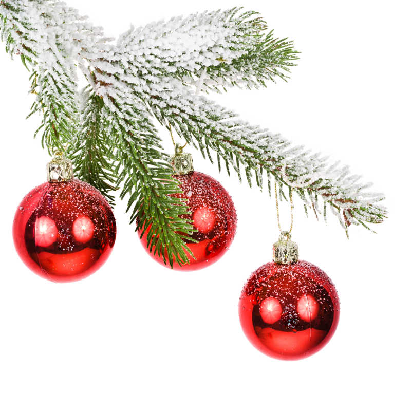 圣诞节树枝装饰彩球
