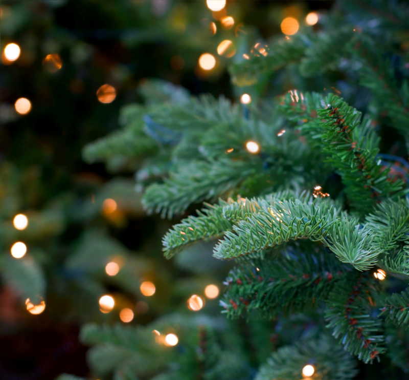 圣诞节树木彩灯