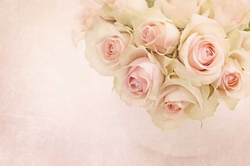 白粉玫瑰花束