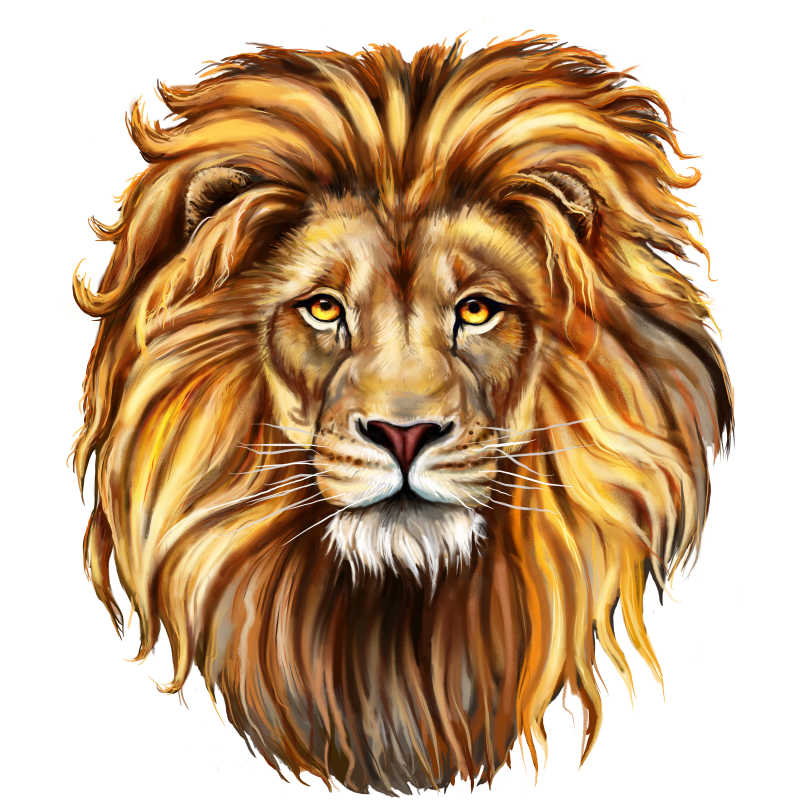 狮子的头部数字油画