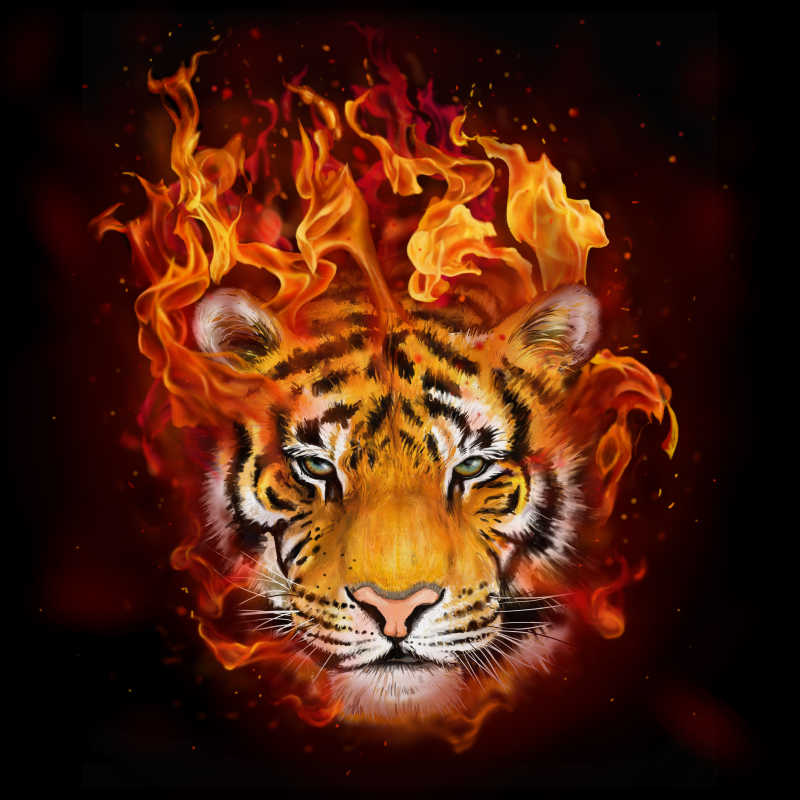 火焰和老虎