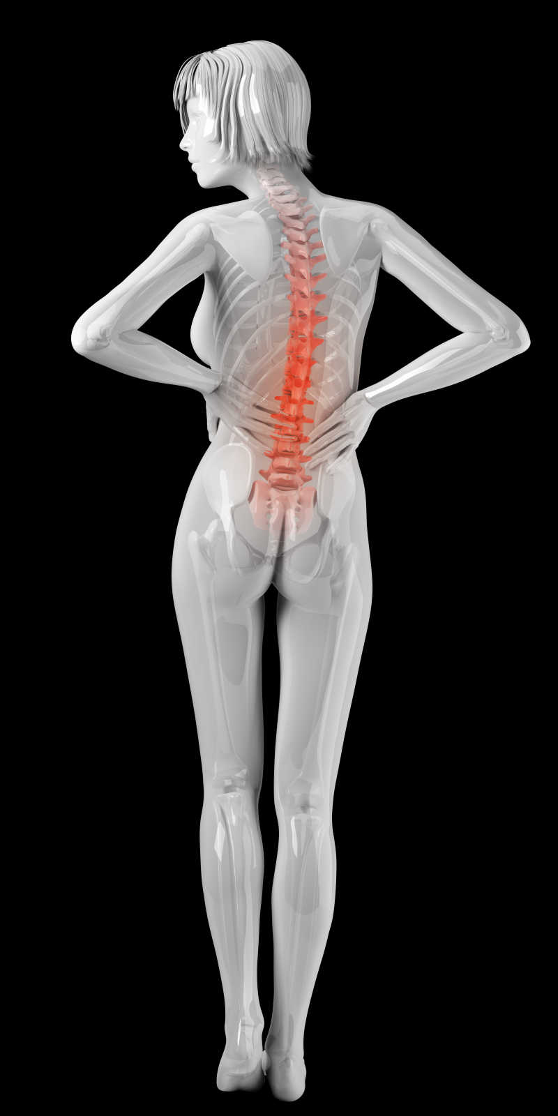 黑色背景上的女性人体背部脊椎