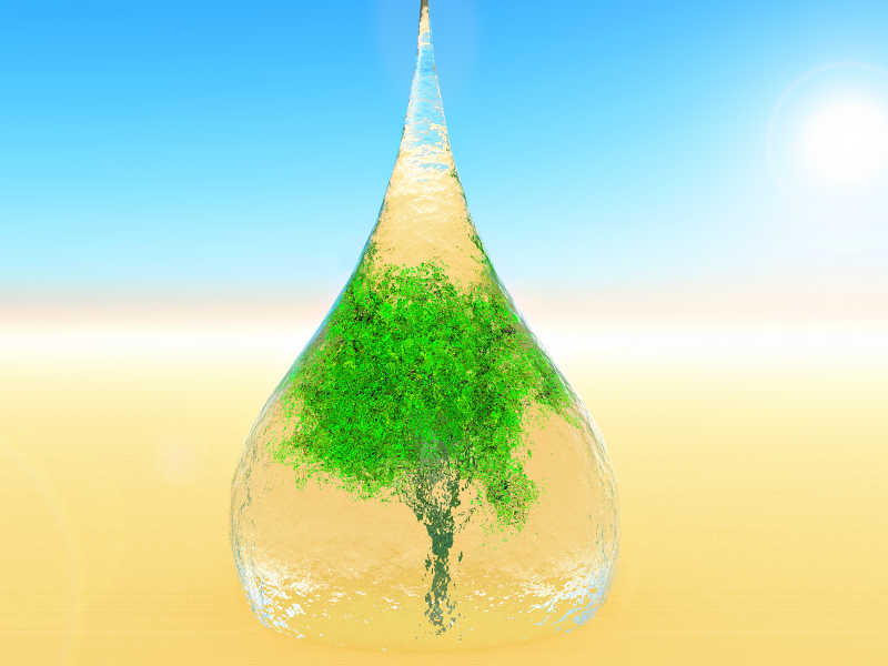 水滴里的树环保概念