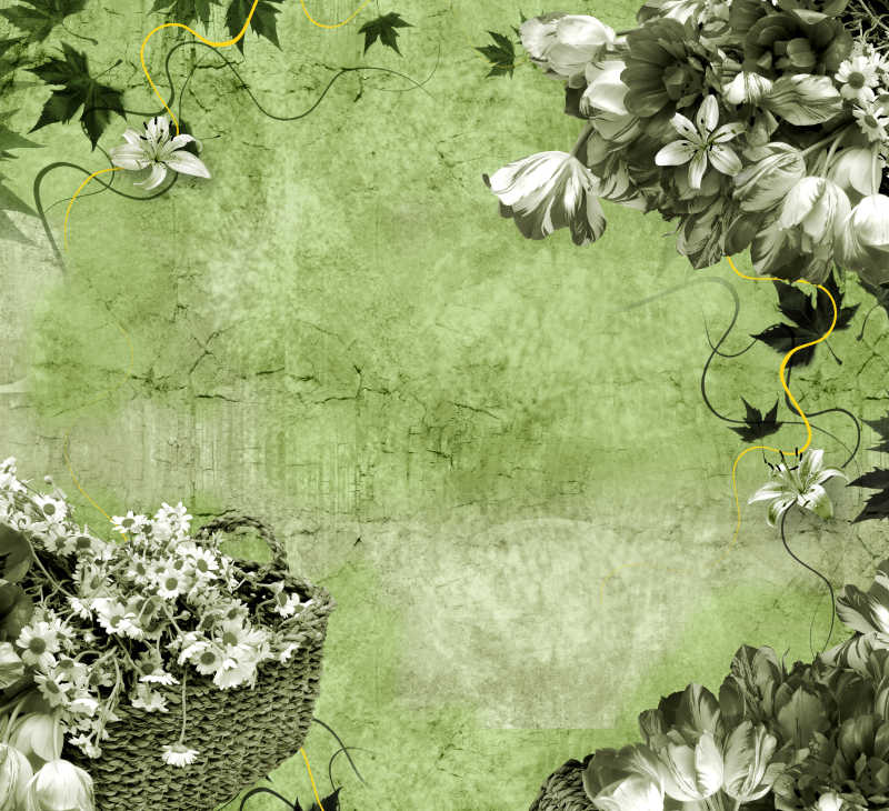 美丽多彩的绿色花卉艺术框架