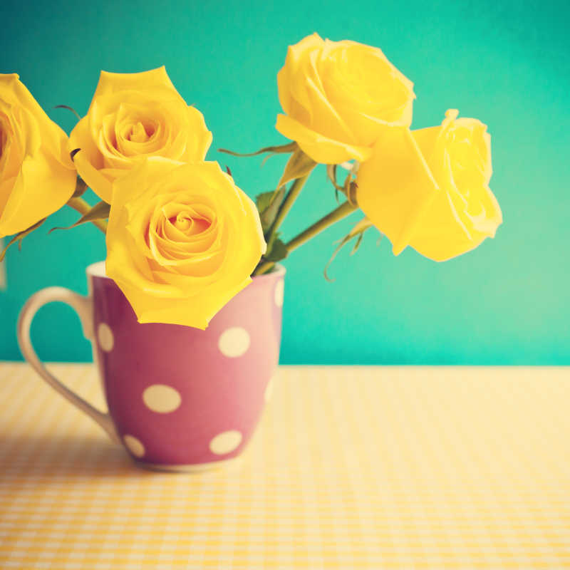 茶杯中摆放的黄色玫瑰