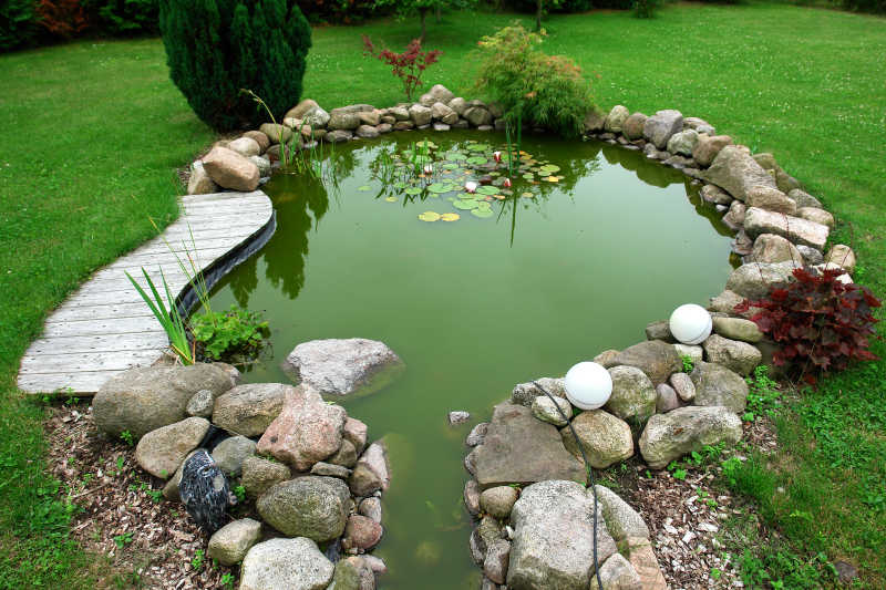 美丽的古典设计花园鱼塘在精心照料后院园艺背景