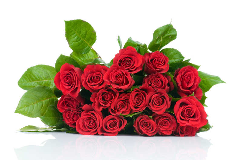 艳红色的玫瑰花