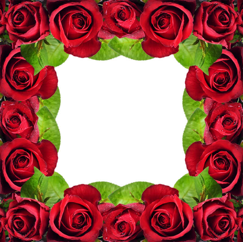红玫瑰框架