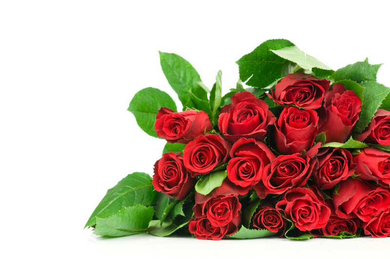 鲜艳的情人节玫瑰花束