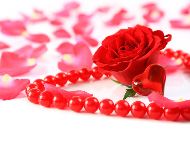 红玫瑰花瓣装饰的项链