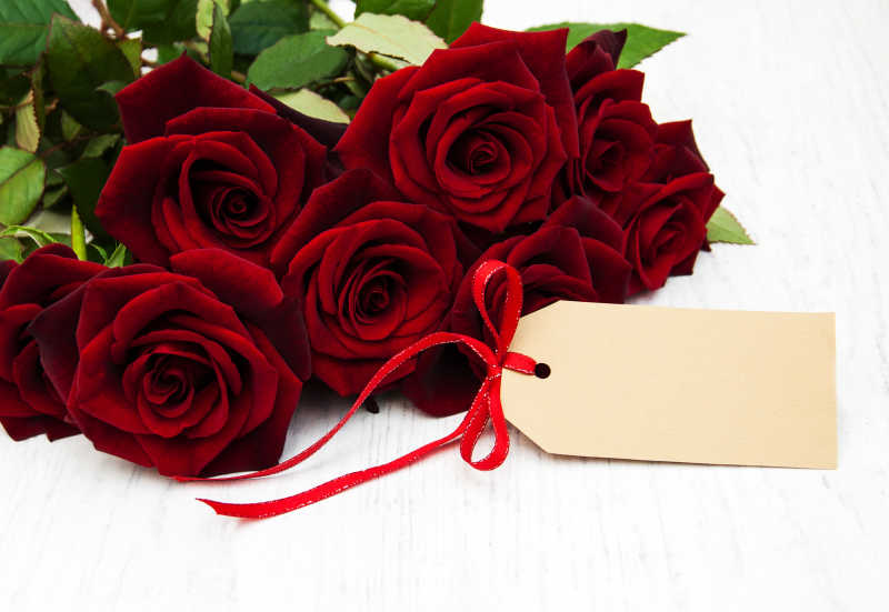 绯红色玫瑰和一张空白贺卡
