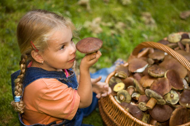 采了一竹篮蘑菇的快乐的小女孩