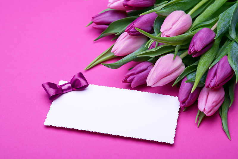 紫罗兰郁金香和粉色的贺卡