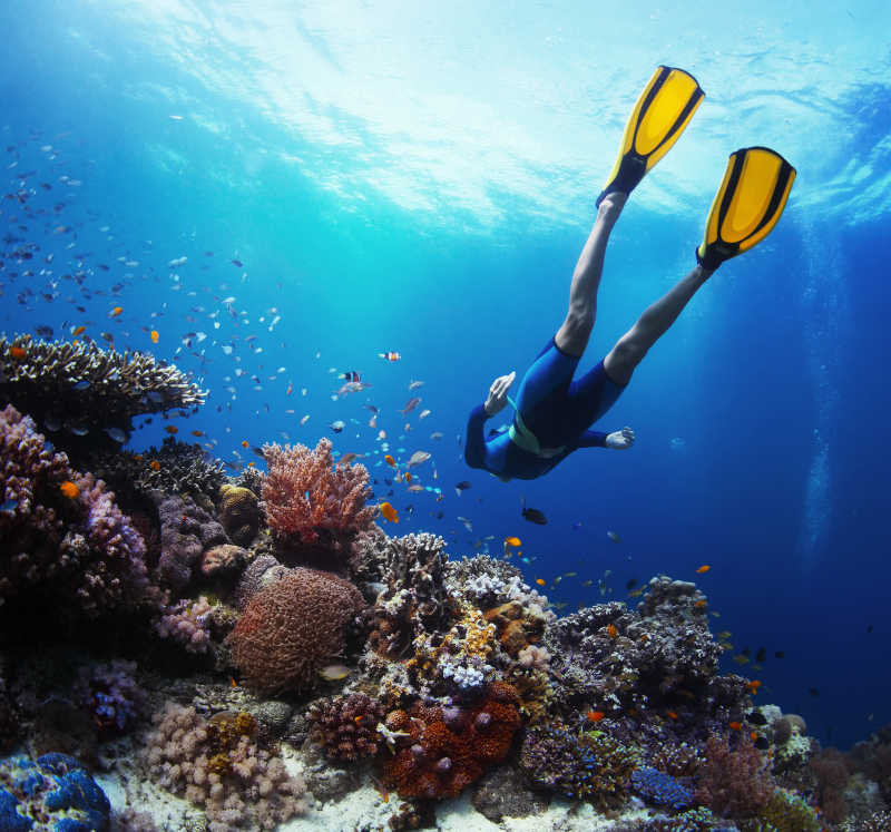 上珊瑚礁和鱼群中自由潜泳的潜水员